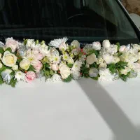 اجاره ماشین عروس سانتافه.