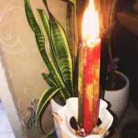 اموزش و فال دقیق و شمع تراپی مجرب