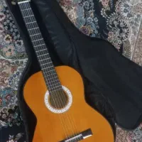 گیتار نو با کیف