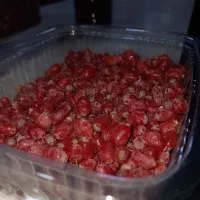 زرشک تروتازه واسه آب گیری