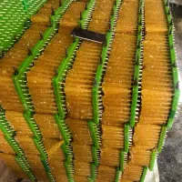 نبات چوبی زعفرانی درجه یک