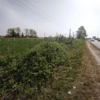 70000 متر زمین بر اصلی تجاری سنددار زیر قیمت منطقه