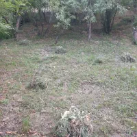 باغ ۶۵۰ متر جاده چالوس روستای کلها