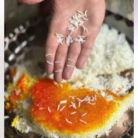 فروشگاه برنج