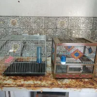 قفسه پرنده مخصوص سیره