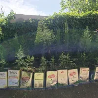 گرمی محله جوادیه انتهای خیابان گلسرا گرمی