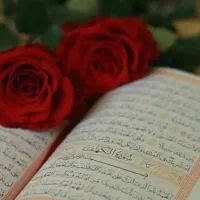 سرکتاب