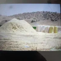 کاه درجه  یک