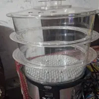 بخارپز دلمونتی