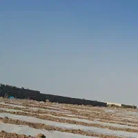 زمین-سنددار-آراندشت