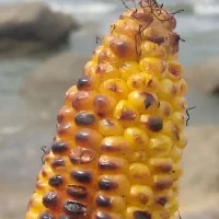سفر ۱ و ۳ روزه شمال