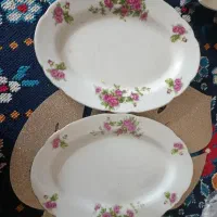 دیس کباب گلسرخی بشقاب پلو و خورش