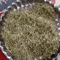 آویشن کوهی