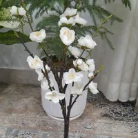 یک دسته شکوفه به ژاپنی