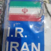 پلاک پیداشده