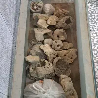 آکواریوم