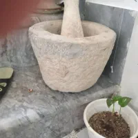 سرکوب قدیمی