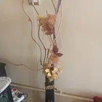 خانه و آشپزخانه