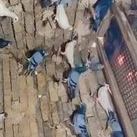 المانی