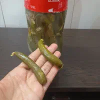 خیارشور ریز ریز ترد و تازه