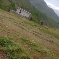 علف در روستای قشلاق وتنگ