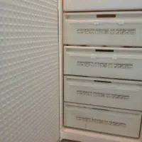 فریزر پارس اصلی