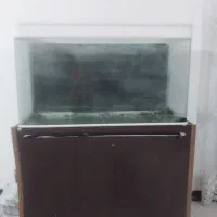 اکواریوم اصل با سنگ و صدف