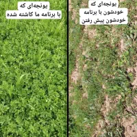 راه اندازی کسب وکار در حوزه کشاورزی نوین