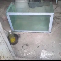اکفاریوم