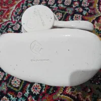 ظرف|ظروف سرو و پذیرایی|ارومیه, |دیوار