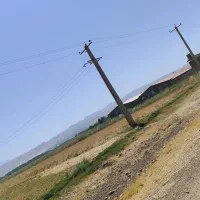 فروش-زمین-کشاورزی
