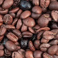 به یک نیروی خانم باریستا جهت کار درکافه