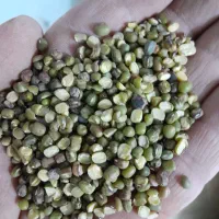 حبوبات|خوردنی و آشامیدنی|شیراز, شهرک مهرگان|دیوار