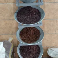 کشمش ، تیزاب ، شانی ، فخری