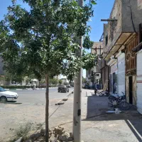منزل-ویلایی-250-متری-کشیمری-44-مهرگان