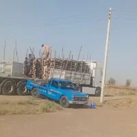 خریدار چوب جنگلی مثل گز و کالیتوس وشمشاد هستم