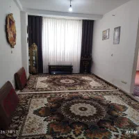 فرش خوش نقش و زیبا   700شانه سنگین