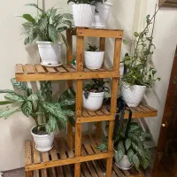 استند گل و گیاه / کتابخانه
