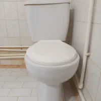 توالت فرنگی