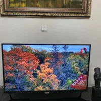 تلویزیون ۴۳ اینچ فیلیپس