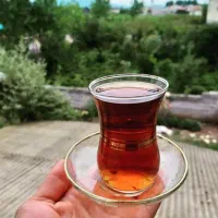 سبزیجات  آماده.. سرخ شده.. رشته خشکار