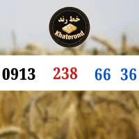 0913.238.15.11|سیم‌کارت|اصفهان, خواجو|دیوار