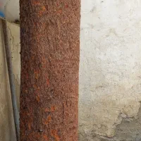 فروش چوب درخت