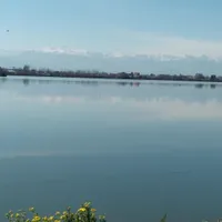 زمین مسکونی، منطقه 5 شهرداری رشت، 555 متر مربع،|فروش زمین و ملک کلنگی|رشت, لاکان|دیوار