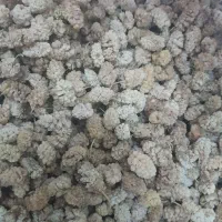 توت خشک درجه یک