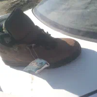 کفش اصلی