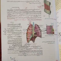 جزوه زیست فرزام فرهمندنیا