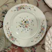 چینی و آرکوپال اصل