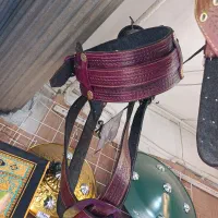 کمربند علم