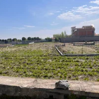 زمین ۲۳۰ متری خوش قیمت دابودشت